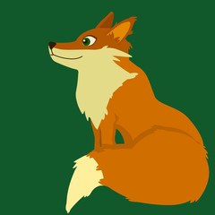 Illustration of very cute fox