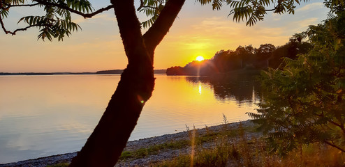 Zachodzące słońce przysłonięte różna roślinnością. © Krzysztof Głowacki