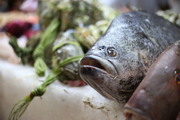 pescado en mercado mexico. Fresh fish and seafood assortment