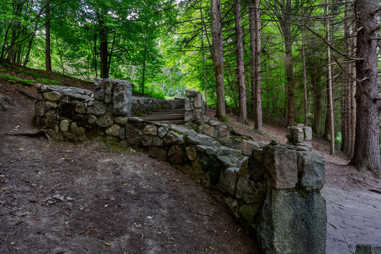 stone walkway in the alone in the woods