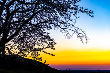Naklejka premium Farbverlauf Sonnenuntergang
