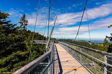 Skywalk Scheidegg © rkbox