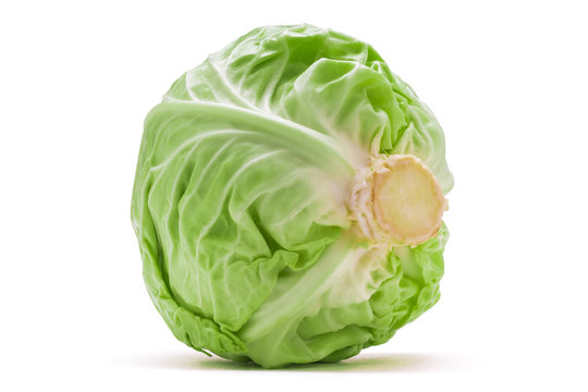 Fresh head of cabbage on white background with clipping path