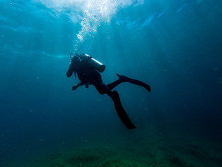 Naklejka na ściany i meble The diver emerges towards the surface of the sea