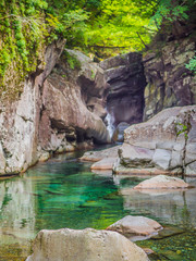 Fototapeta premium 新緑の渓谷_14