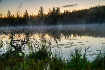 misty morning on the lake