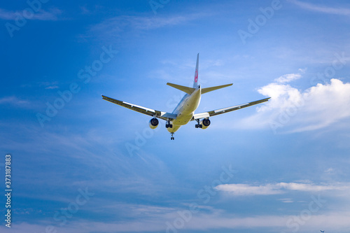 羽田沖から飛行機を見る Wall Mural Wallpaper Murals 誠 宿谷 羽田沖から飛行機を見る Wall Mural Wallpaper Murals 誠 宿谷
