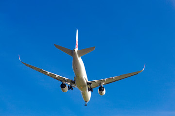 羽田沖から飛行機を見る