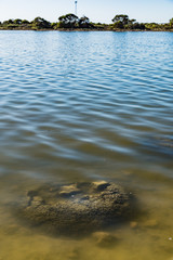 These rock like structures stromatolites on the edge of Lake Thetis are built by micro organisms too small for the human eye to see.
