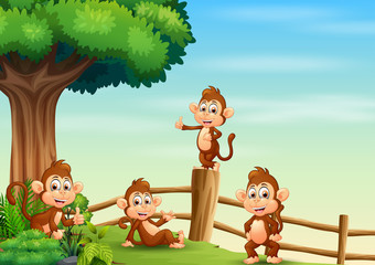 A group of monkeys inside the wooden fence	