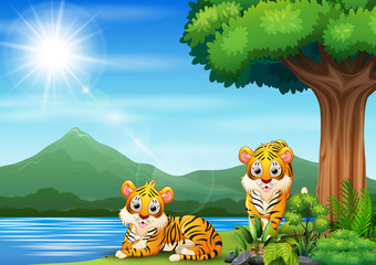 Scene with two tigers by the river