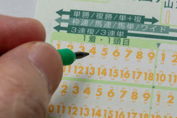 競馬の投票カード