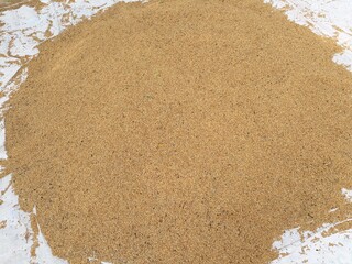 Paddy is being sifted, Paddy stored, Paddy stored after germination.