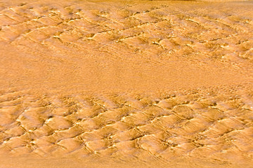 Beach sand and water background. Detail.
