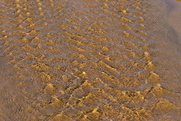 Beach sand and water background. Detail.