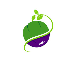 Vegetable farm care logo