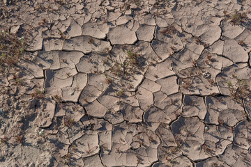 Sonoran Desert cracked ground, abstract composition