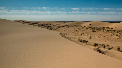 Fototapeta na wymiar Overview of the desert Imperial Sand dunes displaying some vegetation and lots of sand against a blue, cloudless sky, Imperial Sand Dunes