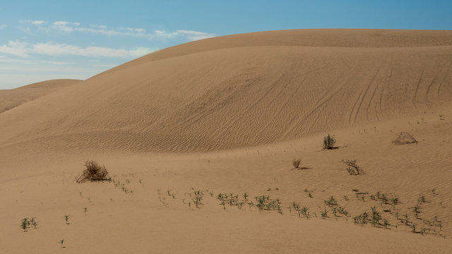 Southern California Sand Dunes on blue sky and cloudless day, Imperial Sand Dues