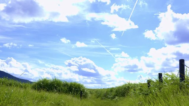Scenery of Nara-Soni Highlands in midsummer