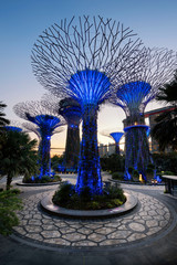 Supertree Grove at Gardens By The Bay, Singapore during sunset