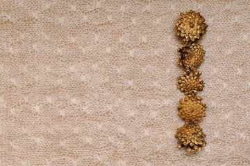 Delicate background, five similar pine cones on the right vertical next on the left on the knitted canvas.