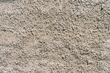 Cement Wall for Background