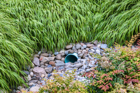 Storm water management in public space, plastic pipe, rocks, and shrub plantings
