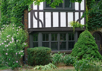 Fototapeta na wymiar Front of old vine covered half-timbered Tudor style house