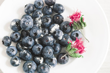Concept of healthy food, morning Breakfast. Blueberries on a white plate, sprinkled with powdered sugar.