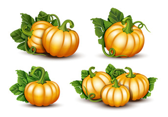 Pumpkins with leaves isolated on white background