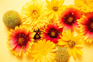Fototapeta premium nice flowers on the yellow background