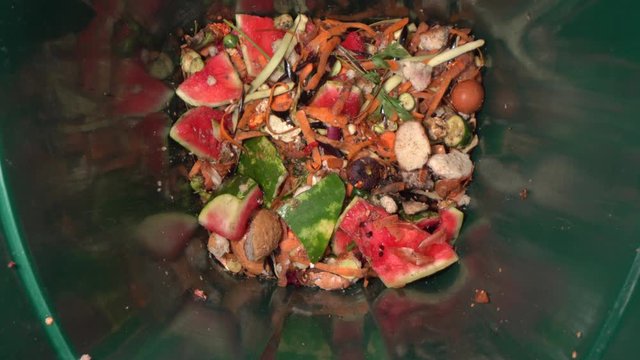 Organic biodegradable waste bin for composting. Vegetable, fruit and garden waste. Compost, Recycle, ang Garbage Sorting. Food loss and wasting problems
