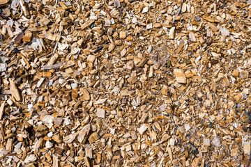 Shredded wood from above as a natural background