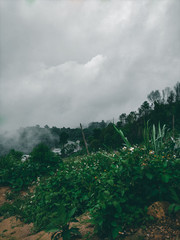 Fototapeta na wymiar Beautiful green nature with clouds and fog on mountain landscape in Mon Jam, Mae Rim, Chiang Mai, Thailand. Travel concept