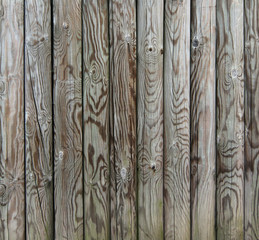 Palisade - fence from wooden stakes