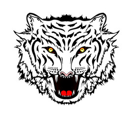 white wicked roaring tiger head on white background big predator cat power force