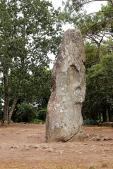 Menhir Geant du Manio - Giant of Manio  - the largest menhir in Carnac
