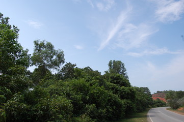 Obraz premium 東南アジアのマレーシアの田舎にある熱帯雨林沿いの幹線道路の風景と青い空