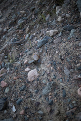textured stone texture of cold shade