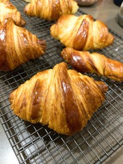 homemade fluffy and crunchy golden brown croissant cooling on rack