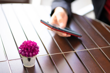 People are playing with mobile phones and plants are placed on the table in the morning light