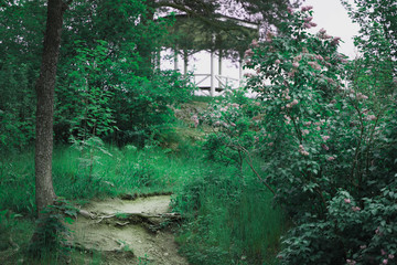 White gazebo in Chinese style on a rock surrounded by lilac bushes