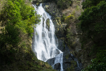 Obraz premium 神庭の滝