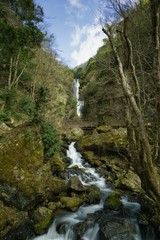 Fototapeta na wymiar 神庭の滝