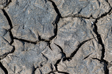 Cracked soil texture