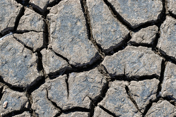Cracked soil texture