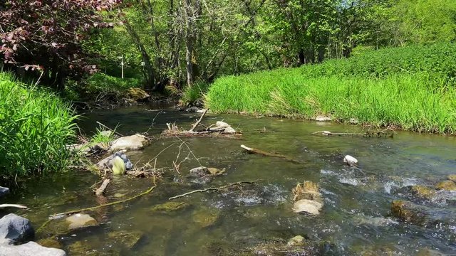 Idyllischer Fluss bei Sonnenschein in einem Waldst&uuml;ck an einer gr&uuml;nen Wiese