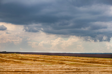 Landscape with a yellow field after harvested wheat and a pre-stormy sky