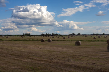 The end of the hay on the flood plains